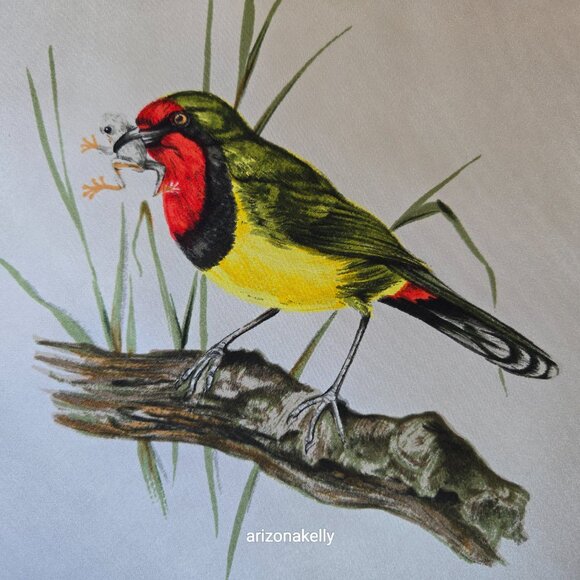 Vintage Silk Scarf Roland Ward Painted Birds Collectible - Picture 9 of 15